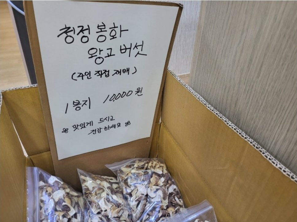 왕고버섯 판매 안내문과 버섯 봉지